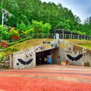 영월동굴생태관 이미지