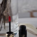 스테이 드레곤 이미지