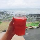 오로지애월 이미지