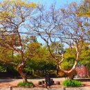 순천의료원공원 이미지