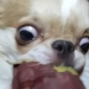𝗘𝗽𝗶𝘀𝗼𝗱𝗲 𝟮