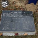 대가야농촌문화체험특구 캠핑장 이미지