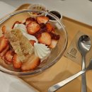 요거트월드 평택고덕점 이미지