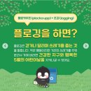 경기엘림어린이집 이미지