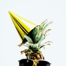 광덕4로2 이미지