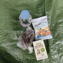 초월약초 | 회복의 여정, 산림치유 생활습관 솔루션 7강 &#39;그래! 결론은 균형이야~&#39; 후기