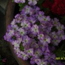 양지어린이집 이미지