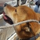 마루종합동물병원 이미지