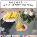 진주예치과의원