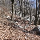 유명산산장 티스토리