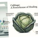 속편한한의원 이미지