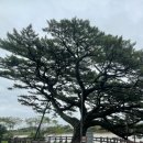 스테이 수산 | 제주 애월읍가볼만한곳 카름스테이추천 수산저수지 수산봉 산책코스 후기