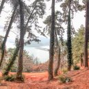 고사리마을회관 이미지