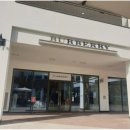 벌리로 | 김포현대아울렛 버버리 벌리 바람막이 자켓 숏 롱 후기