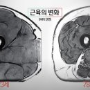 라이프패킹