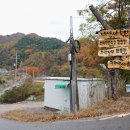 인제자연학교 캠핑장 이미지