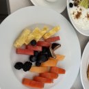 캔쿤 | [공지] 칸쿤 신혼여행 후기 (4) AVA Resort Cancun (아바 리조트 칸쿤)_ 후기 없는 신상 숙소 방문 후기...