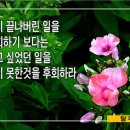 노불레스