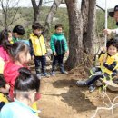 도음산 유아숲체험원 이미지