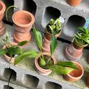 우성농원 이미지