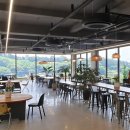 라운드커피 이미지