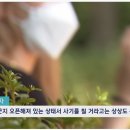 유명 개그맨 아들, 사기 혐의로 피소…"오래 전 집 나가 의절" 이미지