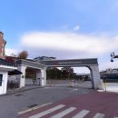 성남대로1518번길 이미지