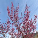 수달생태공원 화장실 이미지