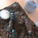 프로농장 이미지