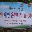 은행나무숲 입구 이미지