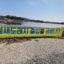 나주낚시 Daum카페