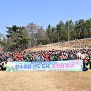 입화산 자연휴양림 이미지