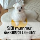 멈머 | 멈머 mummur 후라이방석 내돈내산 구매 후기: 귀여움과 편안함을 동시에!