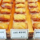 단티(DANTEA)
