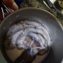 농어바위캠핑장 이미지