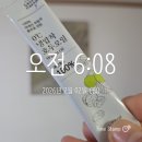 오일크루 | 웰니스크루 4기 후기｜내가 끝까지 해낸 4주간의 기록