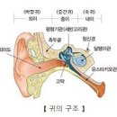 온기담은 한의원 이미지