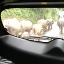 클레이하우스투 | 사파갔다가 구름만 보고 돌아온 팀반미