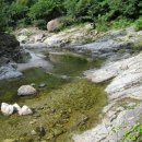 수색대골 이미지