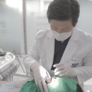 똑똑플란트치과의원 이미지