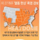 (주)돔돔 이미지