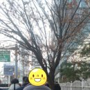 맥시스템 이미지