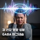 더 드림 | 청력 건강 회복 관리 방법 영양제 추천 GABA 마그네슘 네오메딕스 더이어드림 솔직 후기
