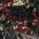 남도면옥 이미지