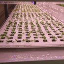 위더스팜 이미지