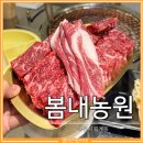 봄내식당 | 춘천 봄내농원 한우는 맛있었지만 아이와 함께한 솔직후기