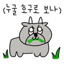 봄약국 이미지