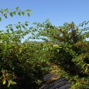 기두농장 이미지