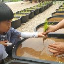 성균관숲유치원 이미지