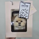 아시아드세탁소 | 반려견 액자 원데이클래스_말티폼_수업후기
